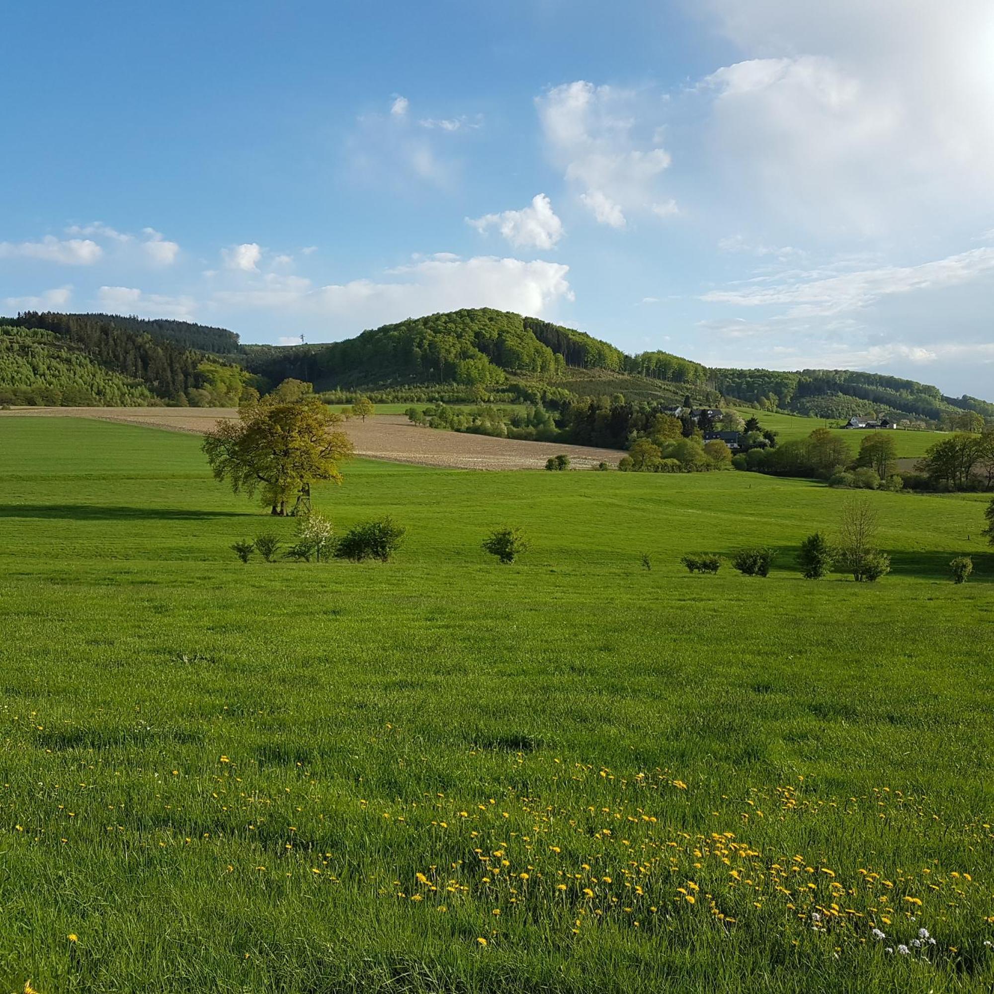 Freundliche Unterkunft Sauerland メシェデ エクステリア 写真